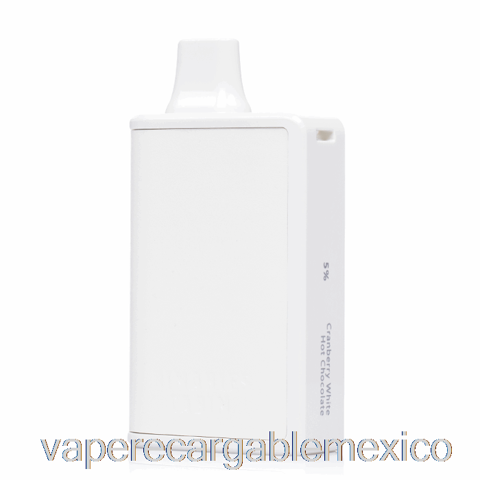 Vape Recargable Horizonte Binarios Cabina 10000 Desechable Arándano Chocolate Caliente Blanco